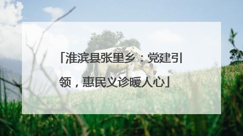 淮滨县张里乡：党建引领，惠民义诊暖人心