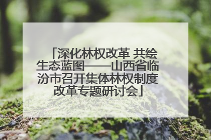 深化林权改革 共绘生态蓝图——山西省临汾市召开集体林权制度改革专题研讨会