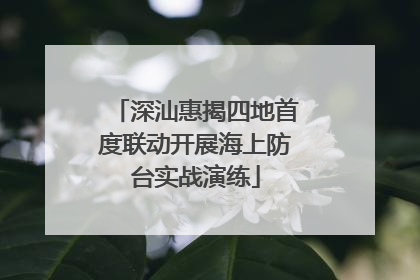 深汕惠揭四地首度联动开展海上防台实战演练