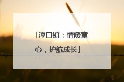淳口镇：情暖童心，护航成长