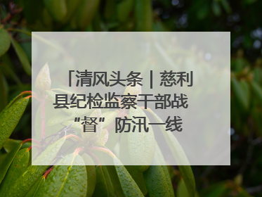 清风头条｜慈利县纪检监察干部战“督”防汛一线 守护群众利益