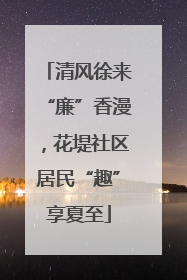 清风徐来“廉”香漫，花堤社区居民“趣”享夏至