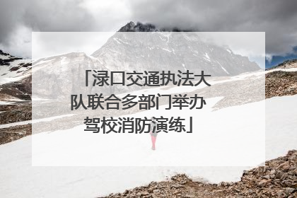 渌口交通执法大队联合多部门举办驾校消防演练