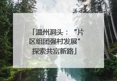 温州洞头：“片区组团强村发展”探索共富新路