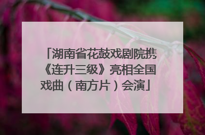 湖南省花鼓戏剧院携《连升三级》亮相全国戏曲（南方片）会演