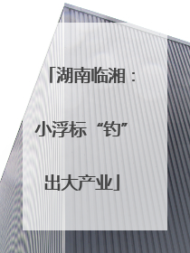 湖南临湘：小浮标“钓”出大产业