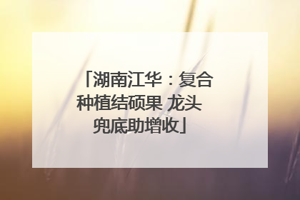 湖南江华：复合种植结硕果 龙头兜底助增收