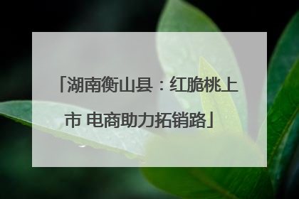 湖南衡山县：红脆桃上市 电商助力拓销路