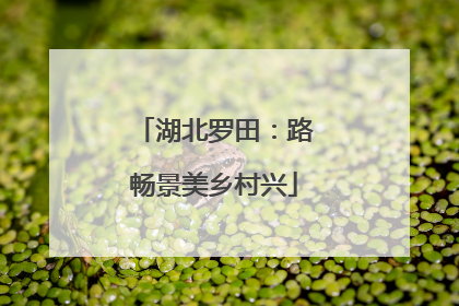湖北罗田：路畅景美乡村兴