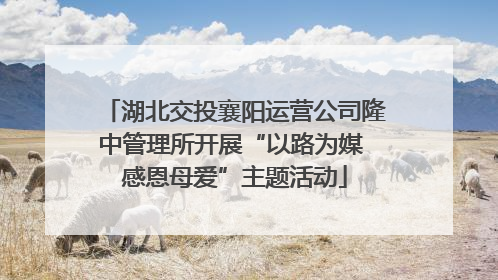 湖北交投襄阳运营公司隆中管理所开展“以路为媒 感恩母爱”主题活动