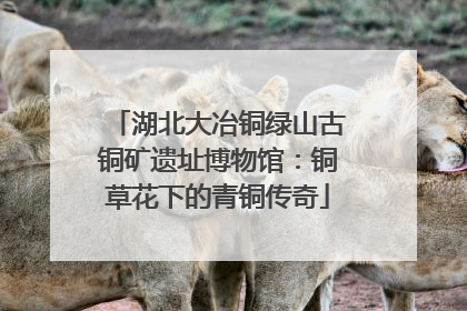 湖北大冶铜绿山古铜矿遗址博物馆：铜草花下的青铜传奇