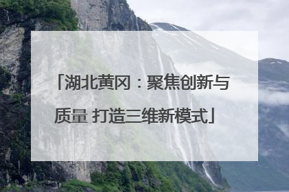 湖北黄冈：聚焦创新与质量 打造三维新模式