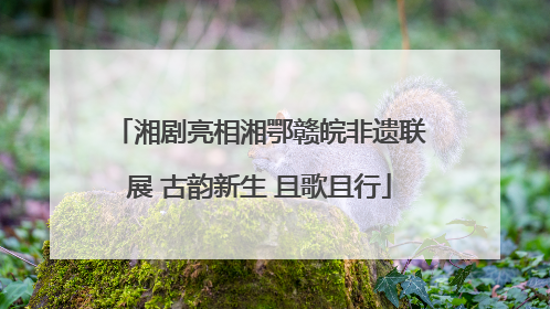 湘剧亮相湘鄂赣皖非遗联展 古韵新生 且歌且行