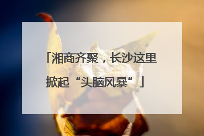 湘商齐聚，长沙这里掀起“头脑风暴”