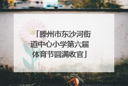 滕州市东沙河街道中心小学第六届体育节圆满收官