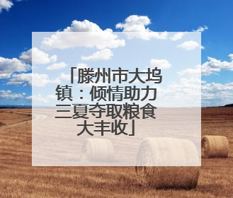 滕州市大坞镇：倾情助力三夏夺取粮食大丰收