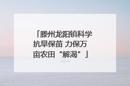 滕州龙阳镇科学抗旱保苗 力保万亩农田“解渴”