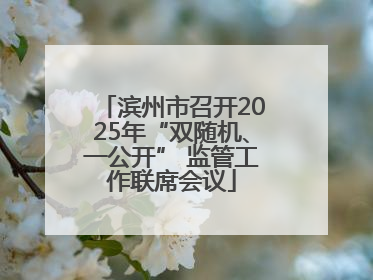 滨州市召开2025年“双随机、一公开” 监管工作联席会议
