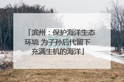 滨州：保护海洋生态环境 为子孙后代留下充满生机的海洋