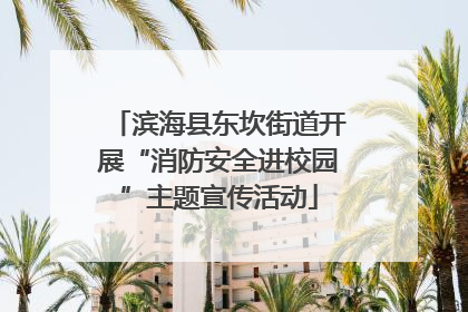 滨海县东坎街道开展“消防安全进校园”主题宣传活动