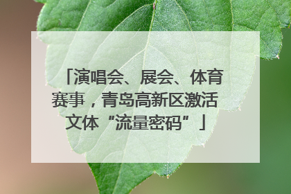 演唱会、展会、体育赛事，青岛高新区激活文体“流量密码”