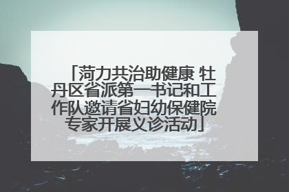 菏力共治助健康 牡丹区省派第一书记和工作队邀请省妇幼保健院专家开展义诊活动