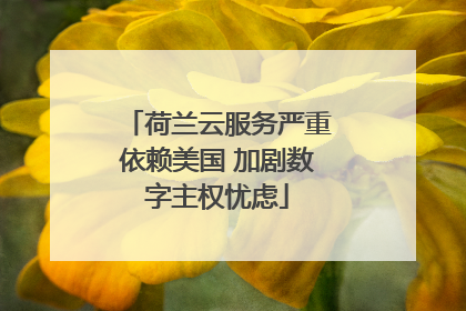 荷兰云服务严重依赖美国 加剧数字主权忧虑