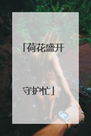 荷花盛开守护忙