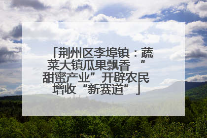 荆州区李埠镇：蔬菜大镇瓜果飘香 “甜蜜产业”开辟农民增收“新赛道”