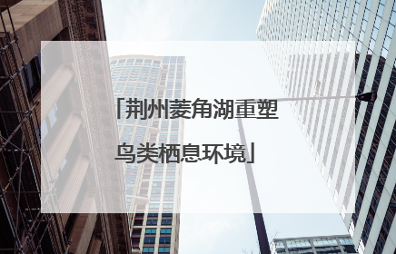 荆州菱角湖重塑鸟类栖息环境