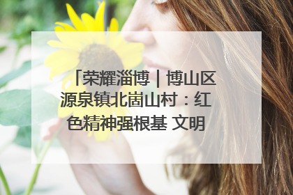 荣耀淄博｜博山区源泉镇北崮山村：红色精神强根基 文明新风润山乡