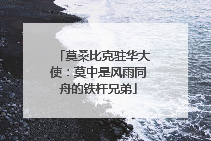 莫桑比克驻华大使：莫中是风雨同舟的铁杆兄弟