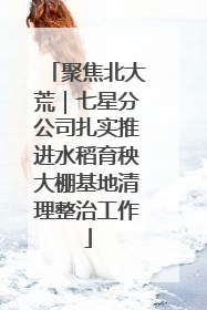 聚焦北大荒｜七星分公司扎实推进水稻育秧大棚基地清理整治工作