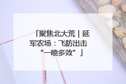 聚焦北大荒｜延军农场：飞防出击 “一喷多效”