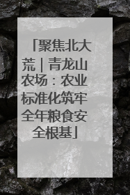 聚焦北大荒｜青龙山农场：农业标准化筑牢全年粮食安全根基