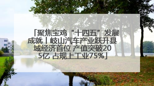 聚焦宝鸡“十四五”发展成就丨岐山汽车产业跃升县域经济首位 产值突破205亿 占规上工业75%