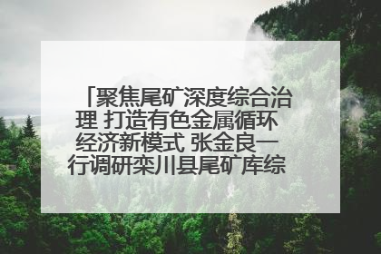 聚焦尾矿深度综合治理 打造有色金属循环经济新模式 张金良一行调研栾川县尾矿库综合治理工作