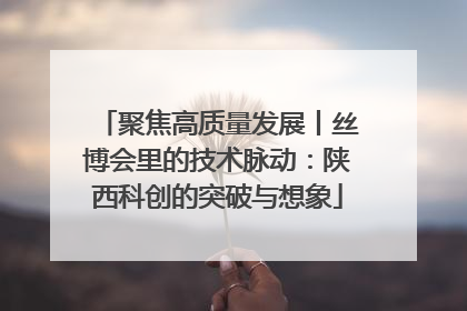 聚焦高质量发展丨丝博会里的技术脉动：陕西科创的突破与想象