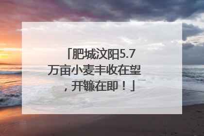 肥城汶阳5.7万亩小麦丰收在望，开镰在即！