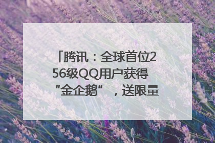 腾讯：全球首位256级QQ用户获得“金企鹅”，送限量版神秘惊喜等礼物