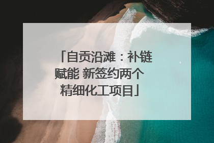 自贡沿滩：补链赋能 新签约两个精细化工项目