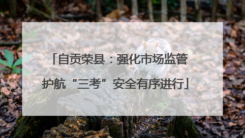 自贡荣县：强化市场监管 护航“三考”安全有序进行