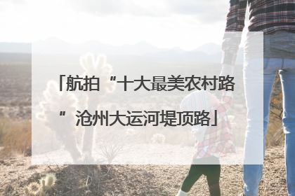 航拍“十大最美农村路”沧州大运河堤顶路