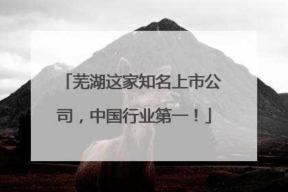 芜湖这家知名上市公司，中国行业第一！