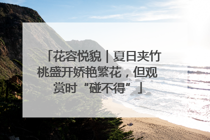花容悦貌｜夏日夹竹桃盛开娇艳繁花，但观赏时“碰不得”
