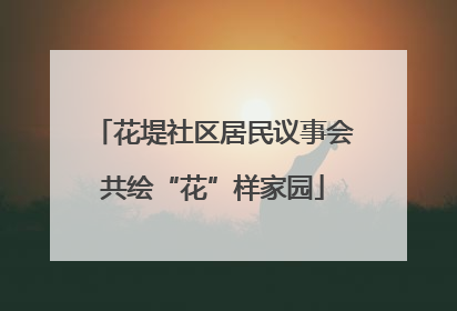 花堤社区居民议事会共绘“花”样家园