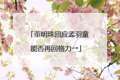 董明珠回应孟羽童能否再回格力→