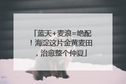 蓝天+麦浪=绝配！海淀这片金黄麦田，治愈整个仲夏