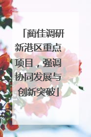 蔺佳调研新港区重点项目，强调协同发展与创新突破