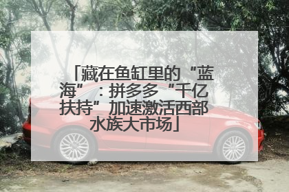 藏在鱼缸里的“蓝海”：拼多多“千亿扶持”加速激活西部水族大市场
